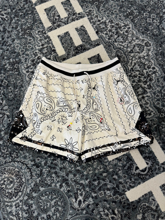 Brand New Travis Scott Jordan Paisley shorts