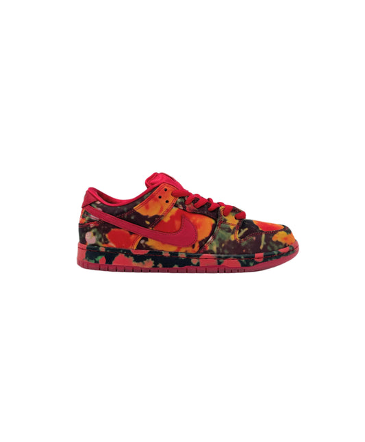 Brand New Nike SB Dunk Low The Wizard of Oz Poppy Field