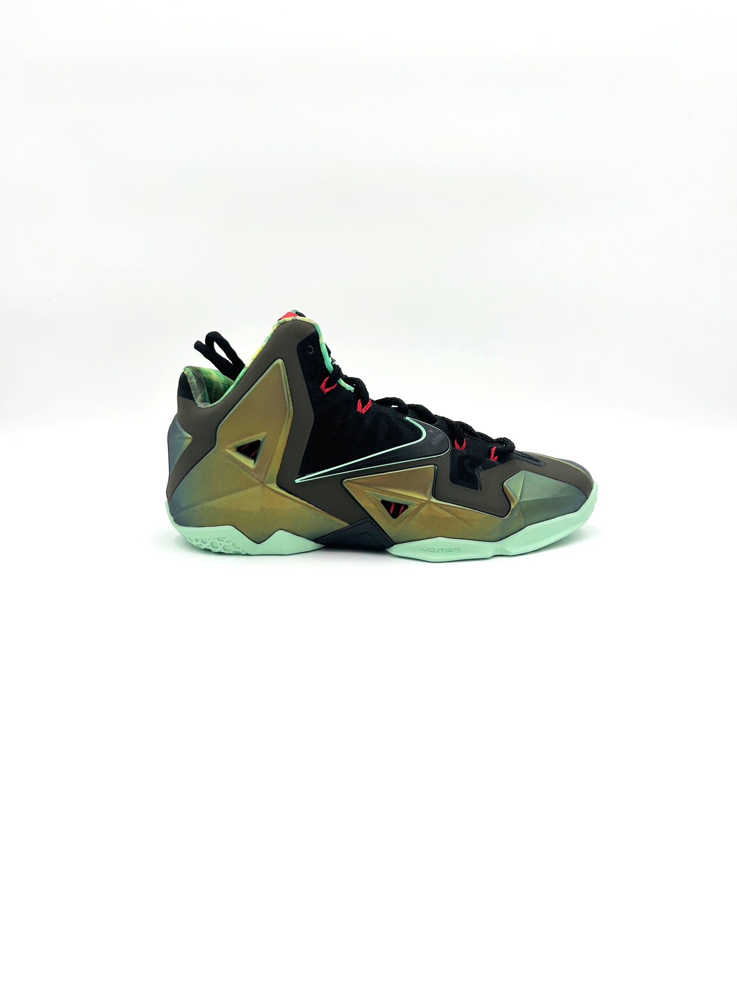 Brand New Nike LeBron 11 King's Pride 2013