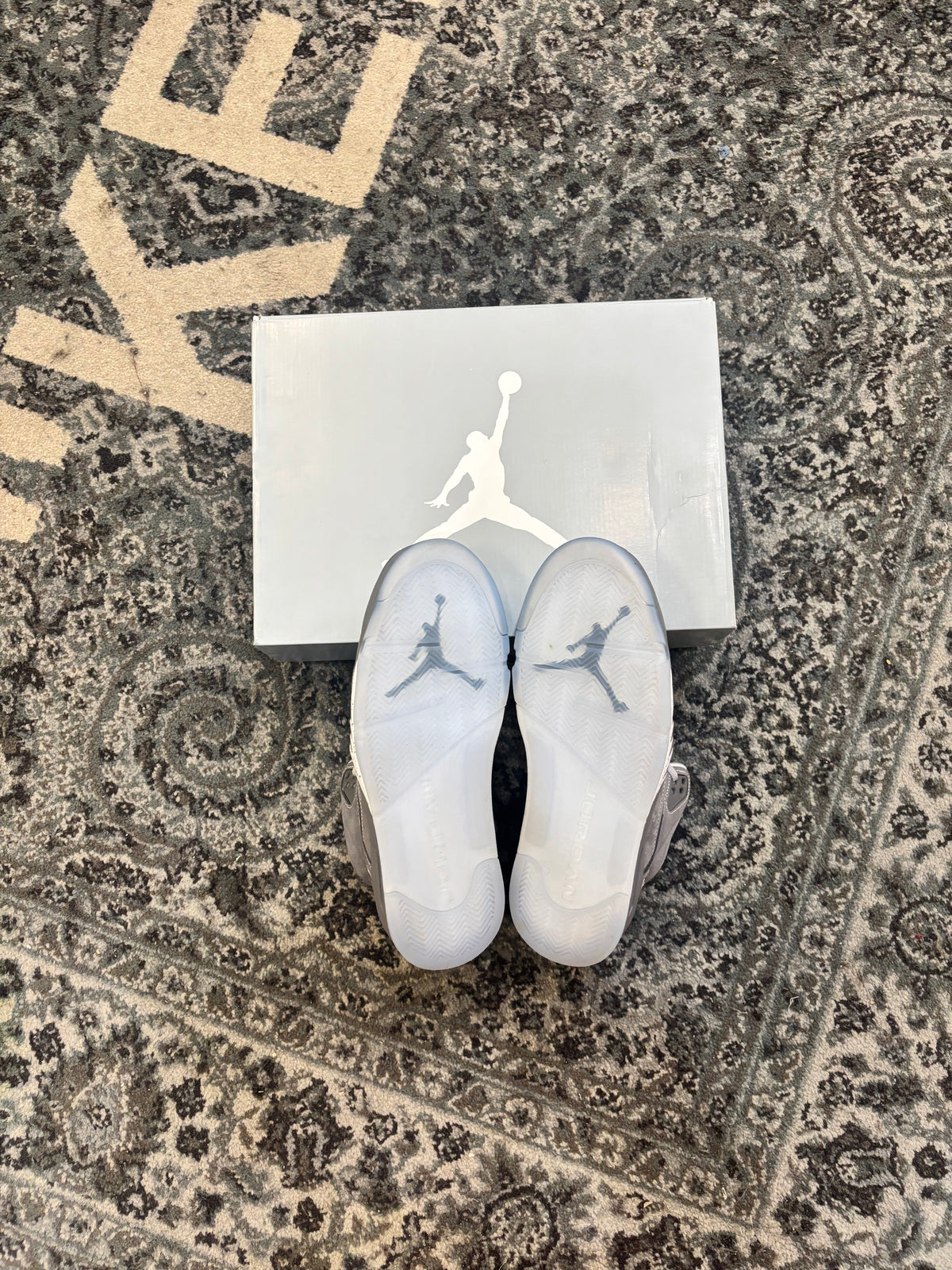 Pre-owned Wolf Grey 5